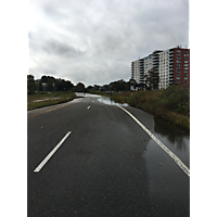 King tide Chesapeake image